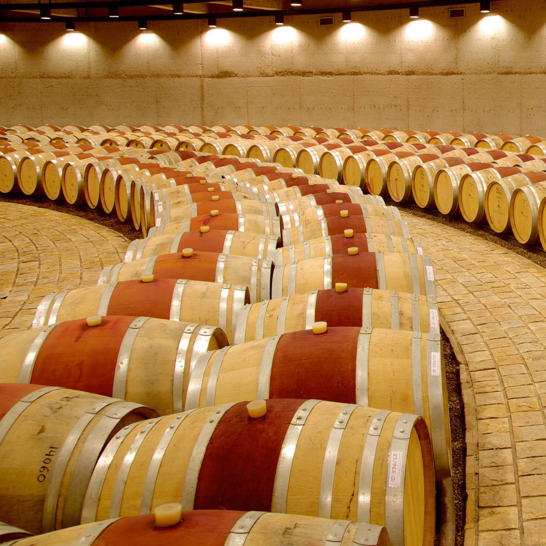 Catena Zapata Gallery 3